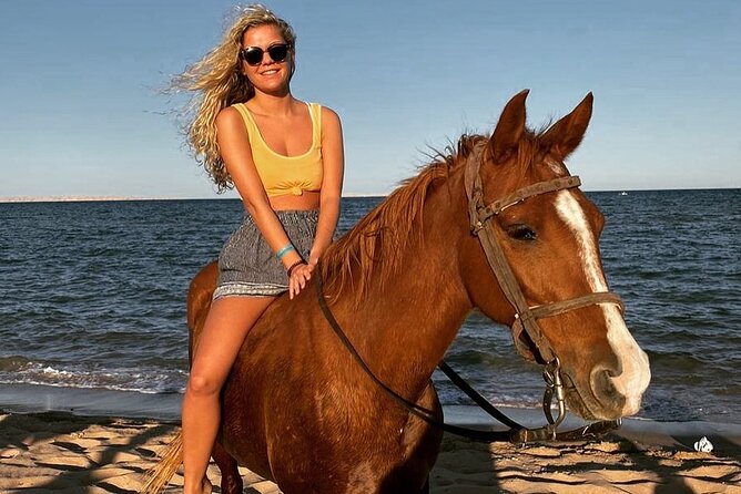 Swimming by Horse 3 Hours ,Beach, Desert & Dinner - Hurghada - Who will enjoy this most