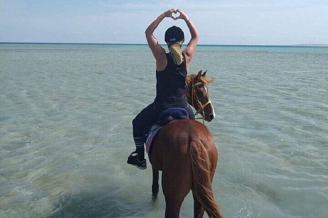Swimming by Horse 3 Hours ,Beach, Desert & Dinner - Hurghada - Practical details that affect your day