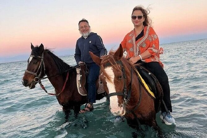 Swimming by Horse 3 Hours ,Beach, Desert & Dinner - Hurghada - Riding from the shore into desert country