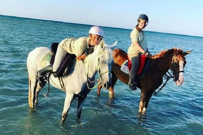 Swimming by Horse at Red Sea Beach & Desert with Dinner- Hurghada - The horses may be the real highlight