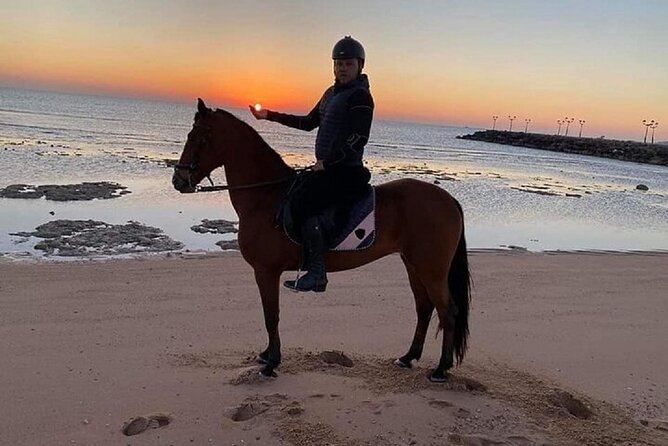 Swimming by Horse at Red Sea Beach & Desert with Dinner- Hurghada - What the $21 price really includes