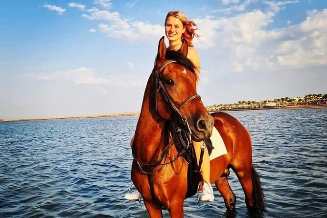 Swimming by Horse at Red Sea Beach & Desert with Dinner- Hurghada - Timing, group size, and the shape of the day