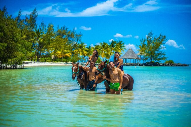 Swimming with Horses at the Beach from Punta Cana Free transportation - Riding from Punta Cana’s forest to the Caribbean shore