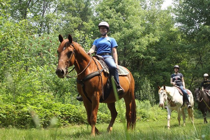 Swimming with Horses at the Beach from Punta Cana Free transportation - Four hours, hotel pickup, and the value of $119