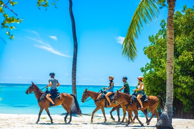 Swimming with Horses at the Beach from Punta Cana Free transportation - The forest ride and the Indigenous Eyes area