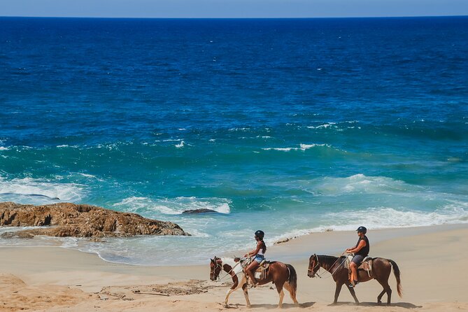 Tacos and Horseback Riding at Migriño beach - Key points before you book