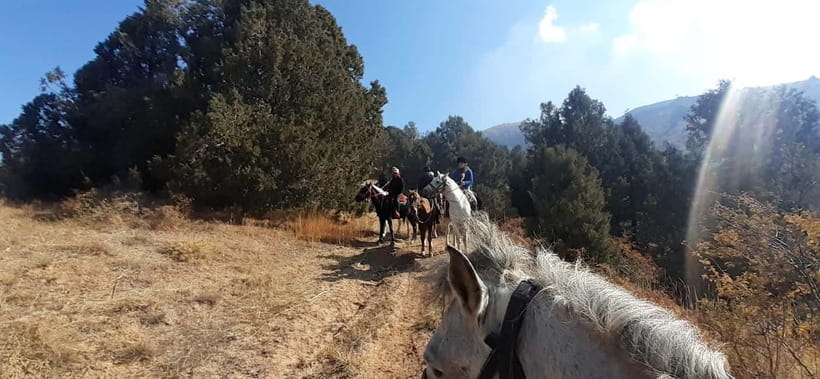 Tashkent: 3-Day Horseback Riding Tour in Chimgan Mountains - Why this Chimgan horse ride is different