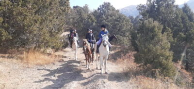 Tashkent: 3-Day Horseback Riding Tour in Chimgan Mountains