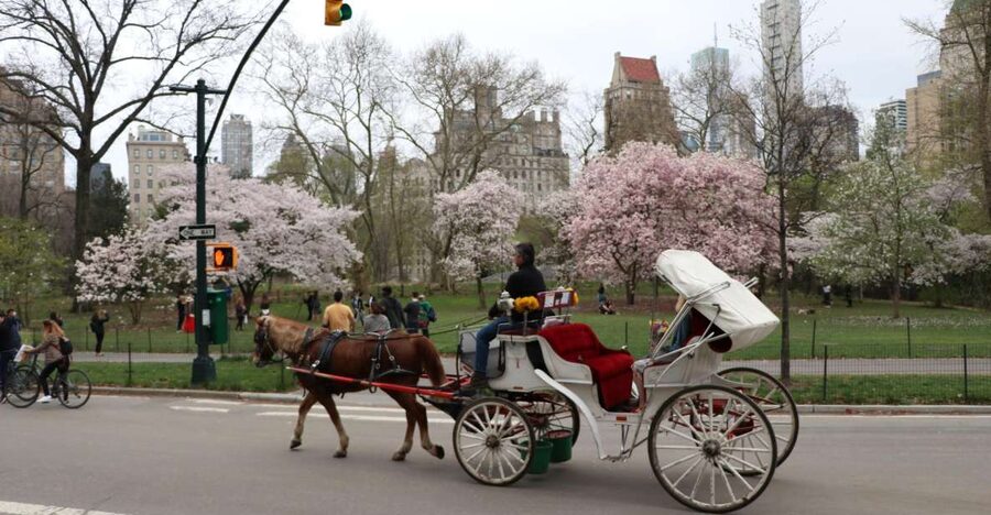 Tavern on the Green PickUp&DropOff With Horse Carriage Ride - A carriage ride with dinner at the center