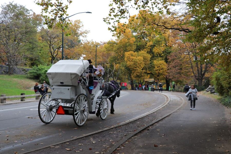Tavern on the Green PickUp&DropOff With Horse Carriage Ride - The 35 to 45 minute route through Central Park
