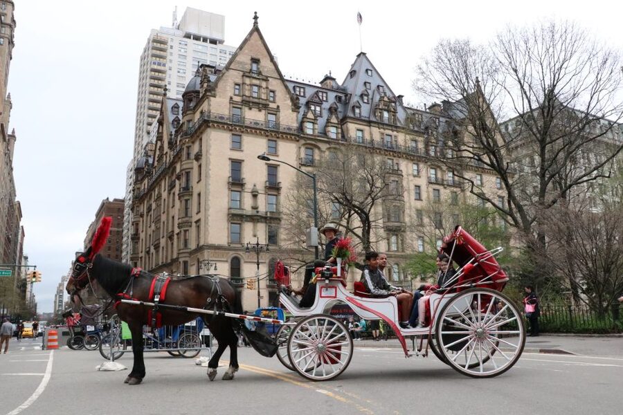 Tavern on the Green PickUp&DropOff With Horse Carriage Ride - How the experience feels on a special occasion