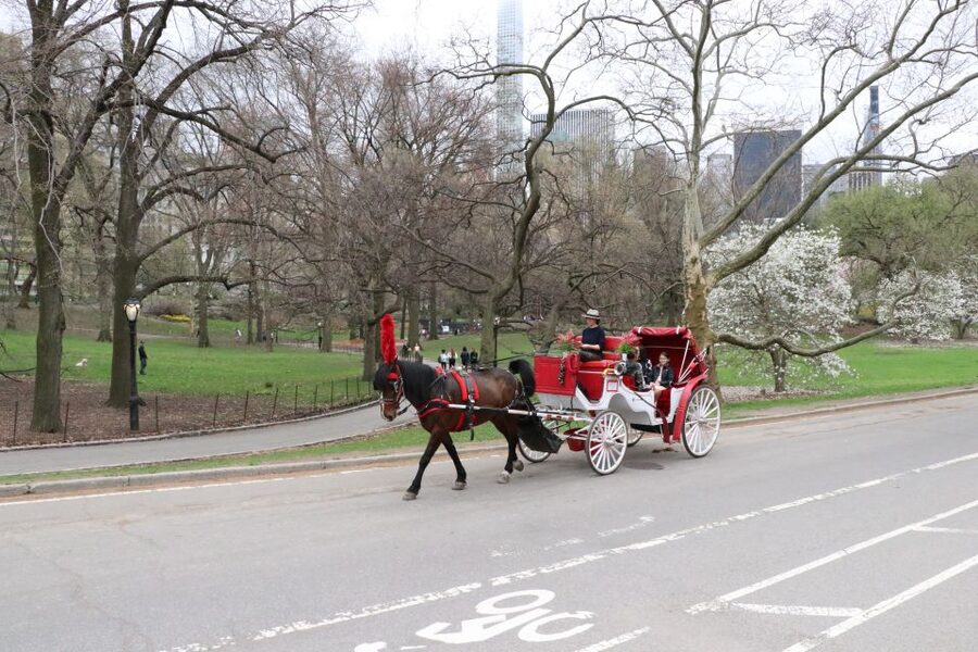 Tavern on the Green PickUp&DropOff With Horse Carriage Ride - Meeting your driver at Tavern on the Green