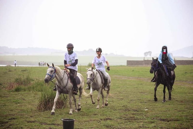 Tbilisi: Kakheti Horse Riding, Wine Tasting, and Cooking … - Two hours on horseback near Qedeli