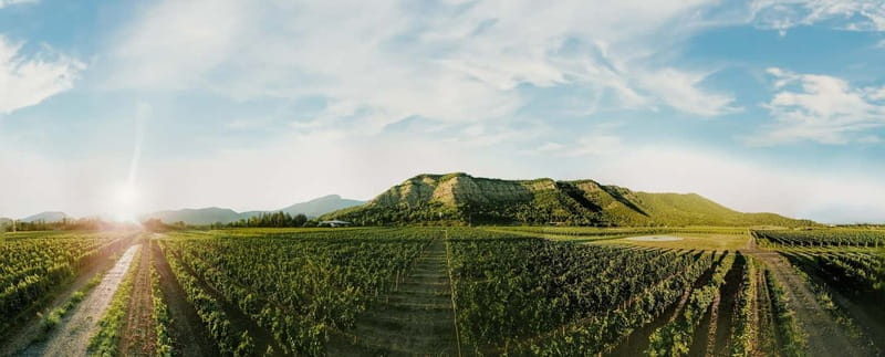 Tbilisi: Kakheti Horse Riding, Wine Tasting, and Cooking … - Who will enjoy this most