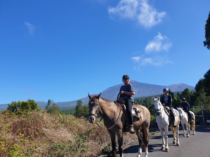 Tenerife: Guided Horseback Riding Tour to the Lomo Forest - Key points at a glance