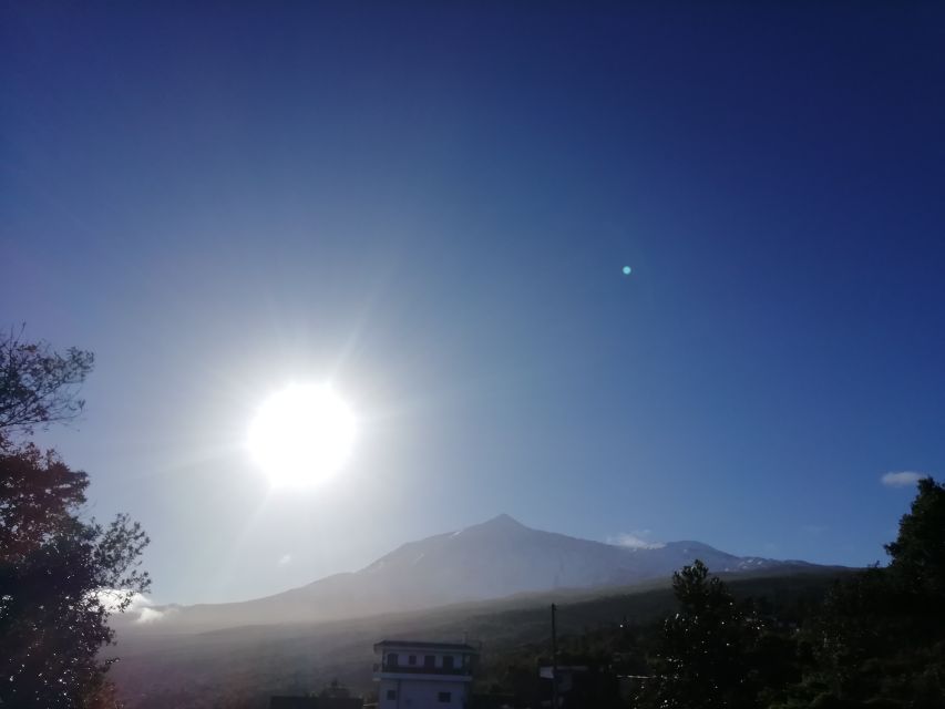 Tenerife: Guided Horseback Riding Tour to the Lomo Forest - Who should book this ride?