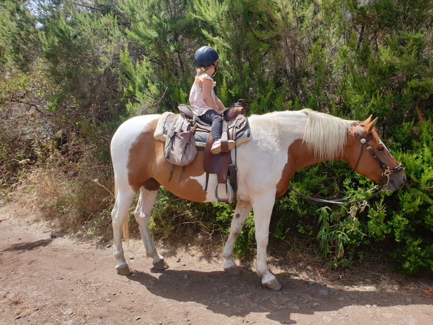 Tenerife: Guided Horseback Riding Tour to the Lomo Forest - Finding the meeting point without getting lost