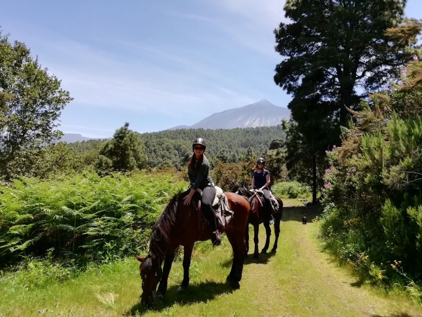 Tenerife: Guided Horseback Riding Tour to the Lomo Forest - What to wear and bring