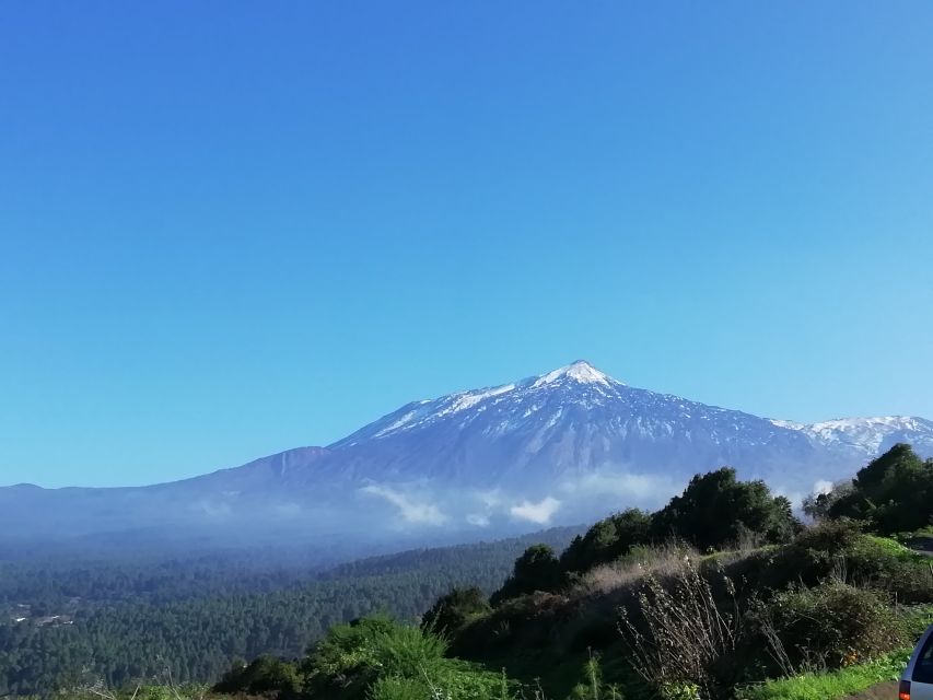 Tenerife: Guided Horseback Riding Tour to the Lomo Forest - What happens before you reach the trail