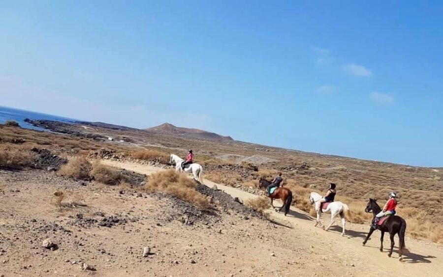 Tenerife: Horseback Ride with Instructor - Horses, Instructors, and Beginner Confidence