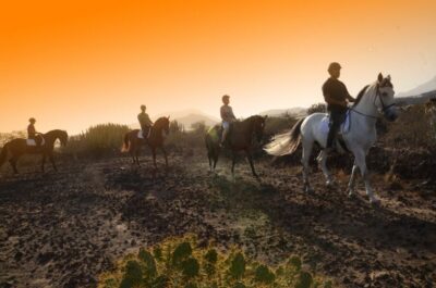 Horseback Ride with Instructor