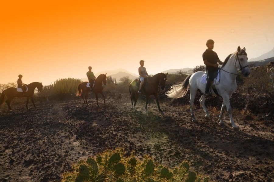 Tenerife: Horseback Ride with Instructor - Why the Two-Hour Ride Is the Better Scenic Choice