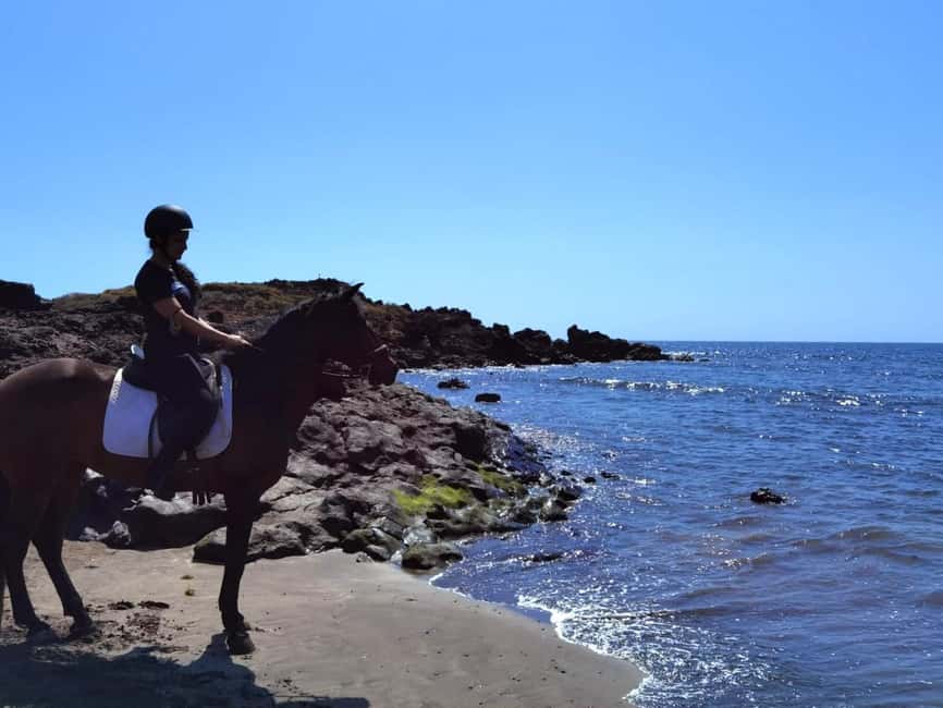 Tenerife South: Private Horseback Ride to the Coast - Riding from Xanadu Tenerife toward the southern coast