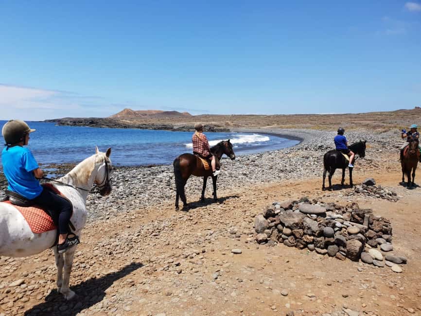 Tenerife South: Private Horseback Ride to the Coast - What the private format changes