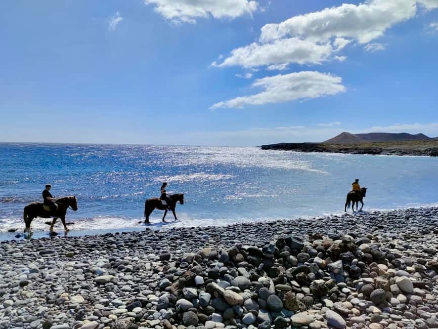 Tenerife South: Private Horseback Ride to the Coast - The return ride and the two-hour pace