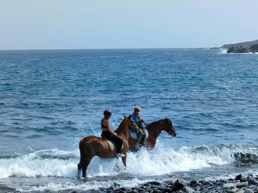 Tenerife South: Private Horseback Ride to the Coast - Costa del Silencio and its black volcanic shore
