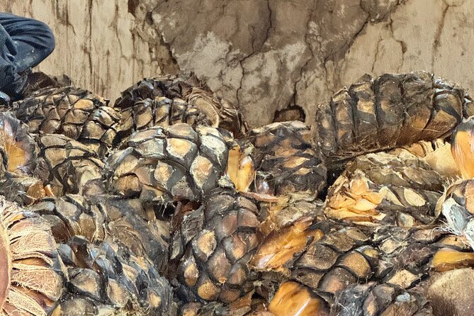 Tequilero Tour with Horseback Riding - Lunch and the center of Arandas