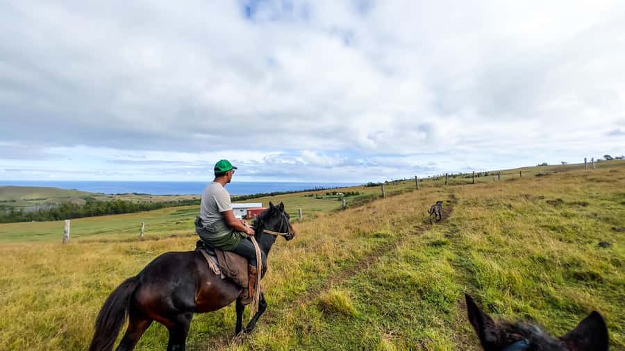 Terevaka Horse Excursion: The highest point and 360° view. - What the 150-minute schedule really gives you