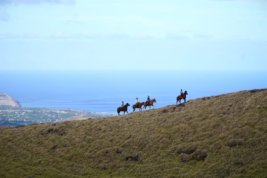 Terevaka Mount: Morning Horseback Riding & Planting Tour - Why this Mount Terevaka ride feels different