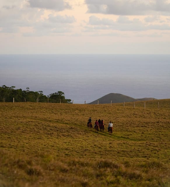 Terevaka Mount: Morning Horseback Riding & Planting Tour - Who will enjoy this ride most