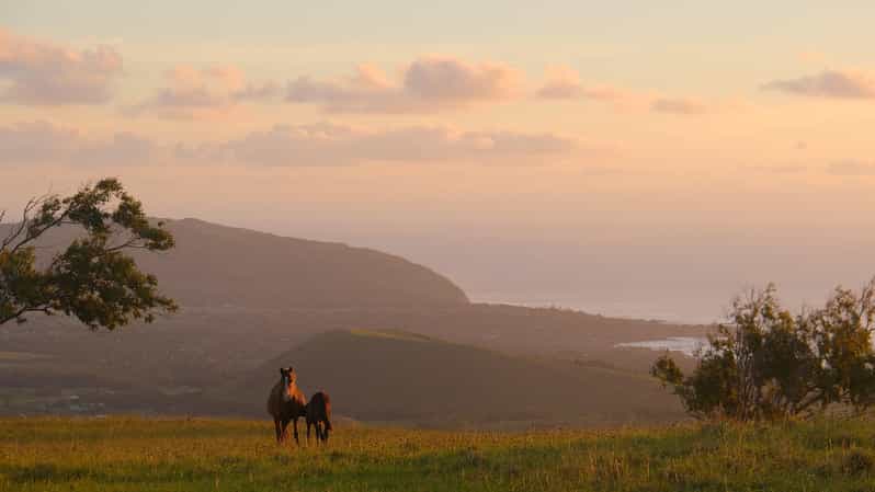 Terevaka Mount: Morning Horseback Riding & Planting Tour - Riding from Vaitea woods toward Ava Ranga Uka