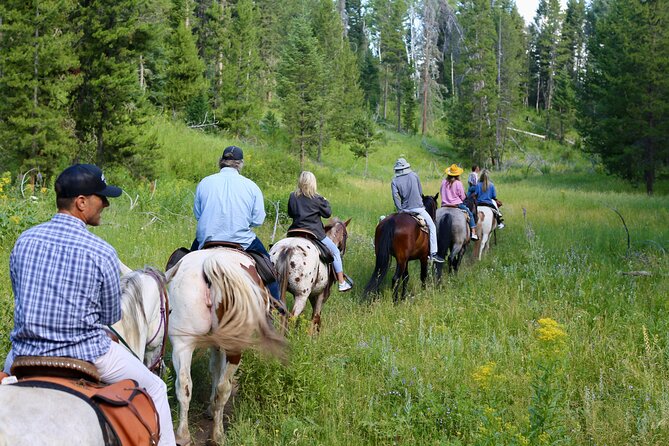 Teton View Horse Riding with Lunch - What this Jackson Hole ride is really about