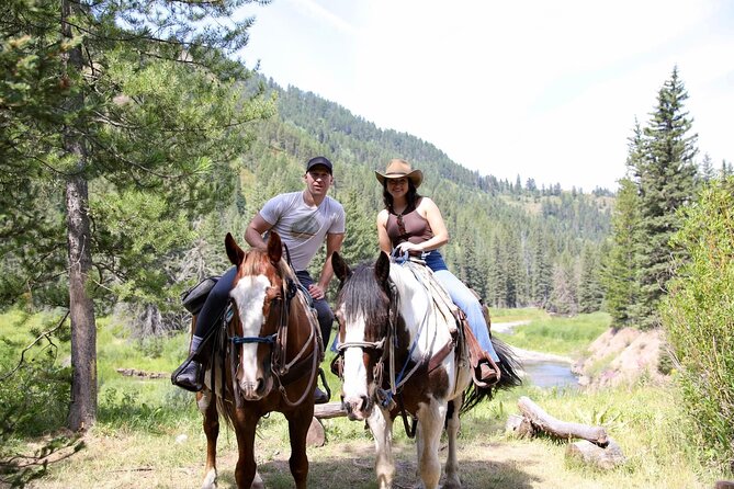 Teton View Horse Riding with Lunch - The return through Ann’s Ridge Loop