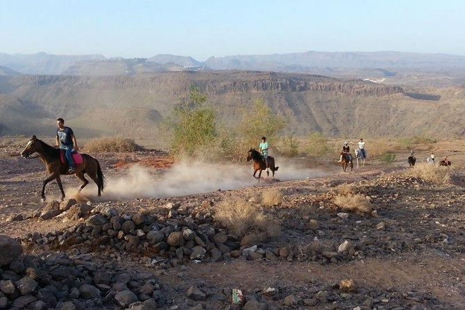 The Best Horse Riding Experience in Gran Canaria (1 hour) - What to know before you saddle up