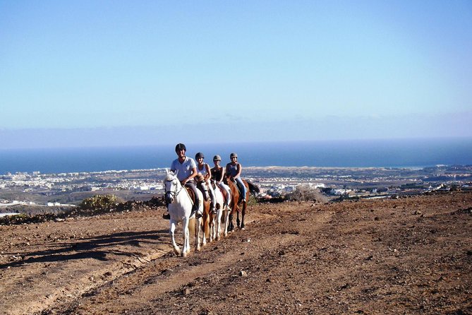 The Best Horse Riding Experience in Gran Canaria (2 hours) - Key points to know before you book