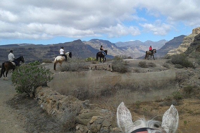 The Best Horse Riding Experience in Gran Canaria (2 hours) - Riding above Maspalomas from El Salobre