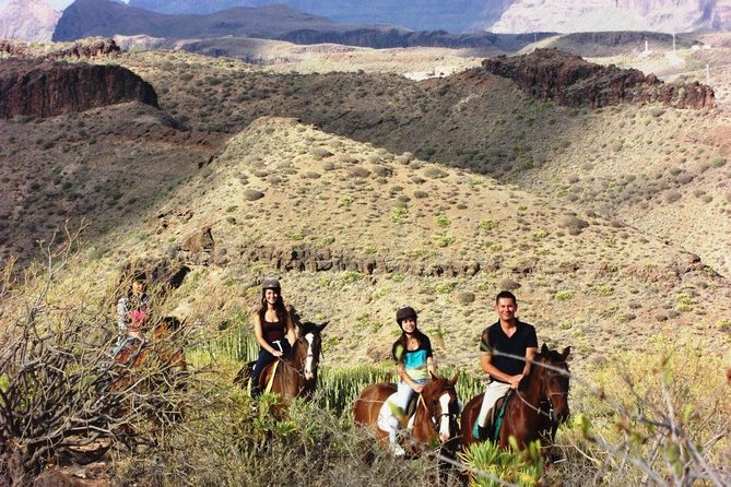 The Best Horse Riding Experience in Gran Canaria (2 hours) - How the group setup affects the ride