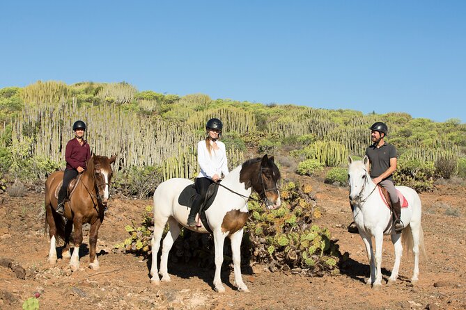 The Best Horse Riding Experience in Gran Canaria (2 hours) - Is $67.75 good value?