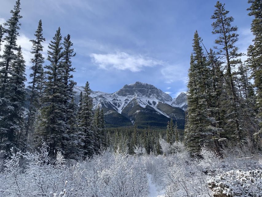 The Canmore HISTORY TOUR - Cowboys and Coal Miners 2H Walk - Mountain views, river scenery, and photo stops