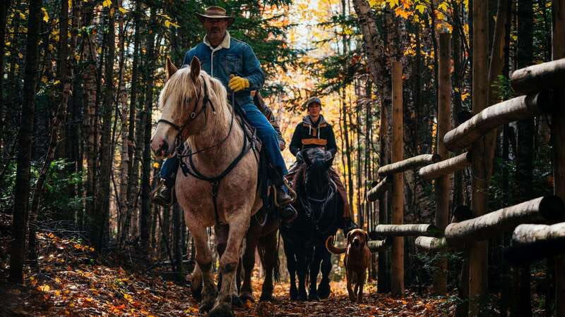 The Montagnarde: Guided horseback ride on mountain trails. - Practical Details That Matter on the Day