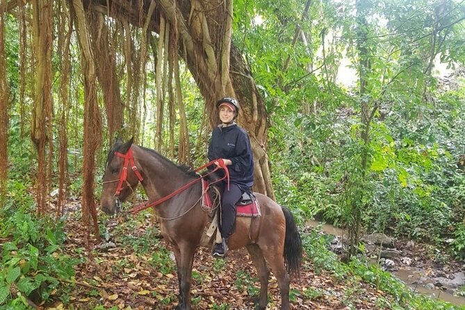 The Ultimate Dominican Horseback Riding Adventure - Key Points to Know Before You Ride