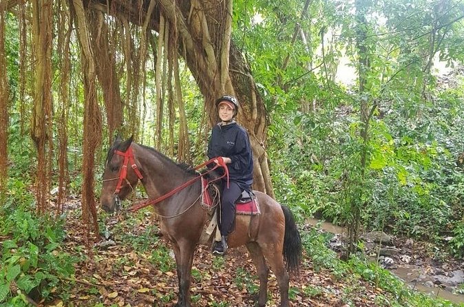 The Ultimate Dominican Horseback Riding Adventure - Cocoa, Tropical Fruit, and a Taste of Ranch Life