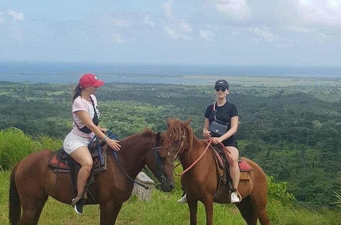 The Ultimate Dominican Horseback Riding Adventure - Is the $79 Price Good Value?
