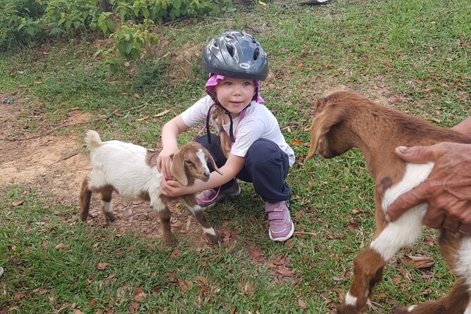 The Ultimate Dominican Horseback Riding Adventure - A 2.5-Hour Ride Through Cattle Country