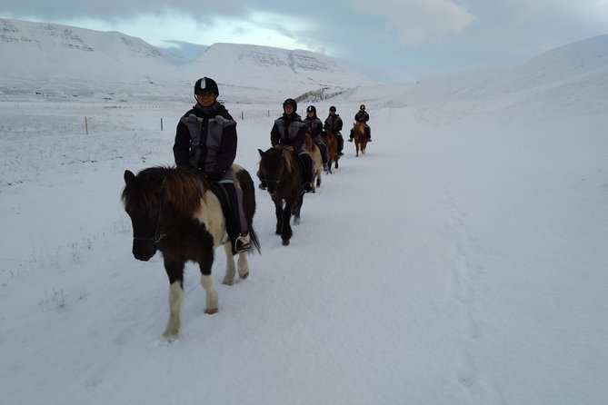 The Viking Horse Riding Experience in North Iceland - What the guides add to the experience