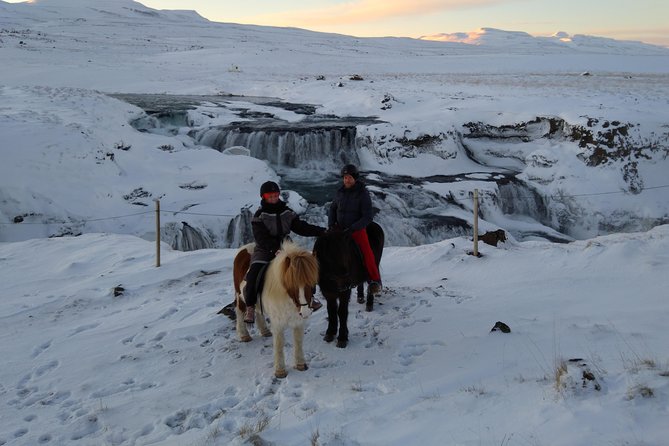 The Viking Horse Riding Experience in North Iceland - Is $123.75 a fair price?